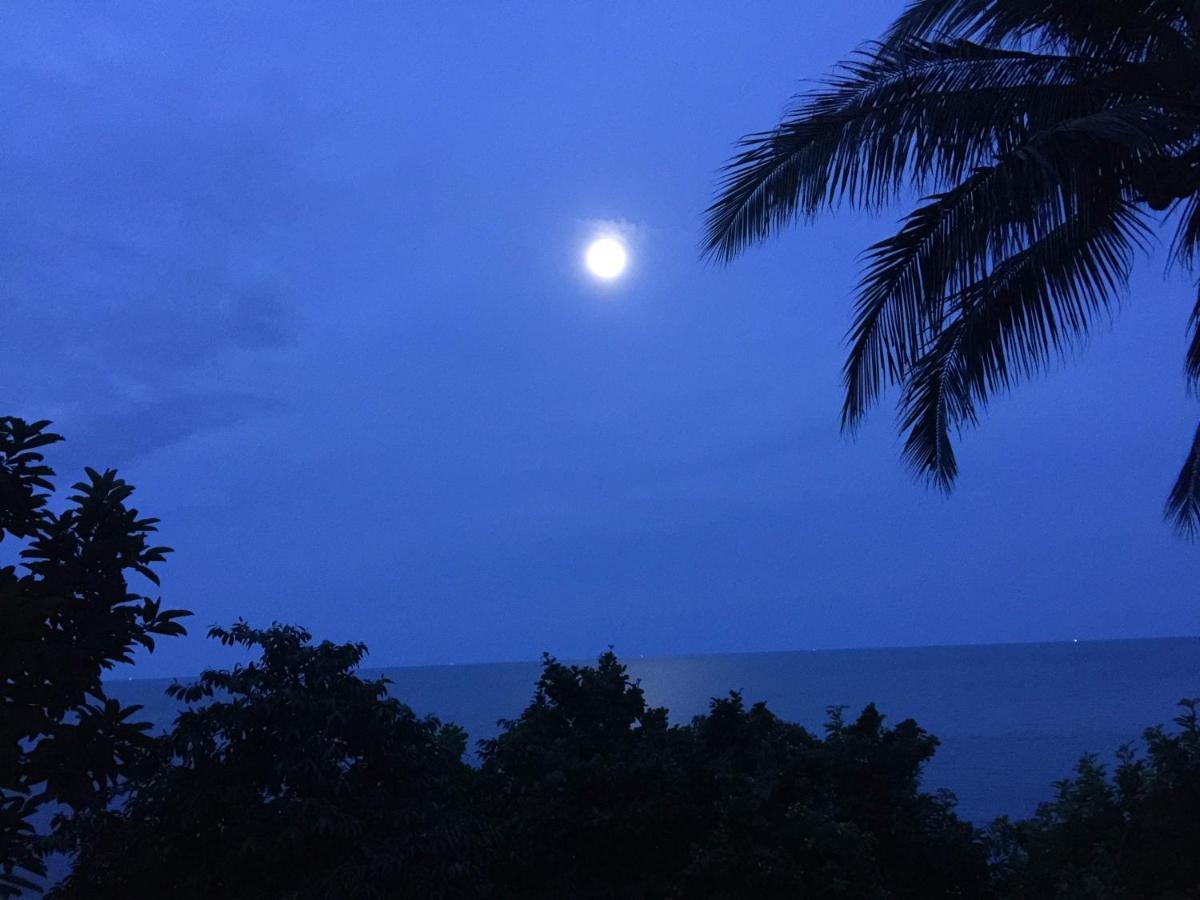 ปลา ธารเสด็จ รีสอร์ท หาดธารเสด็จ ภายนอก รูปภาพ